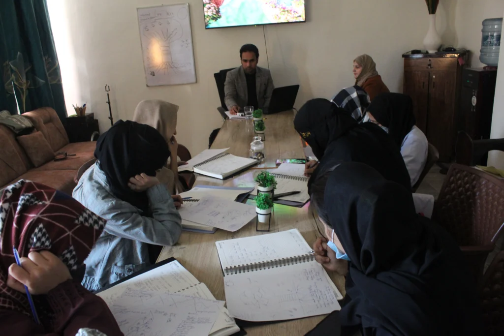 Psychology Internship and Training Program at The Minds